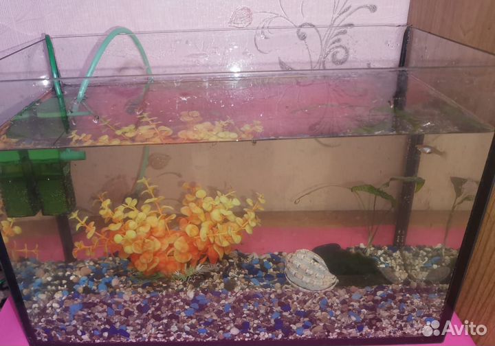 Аквариум