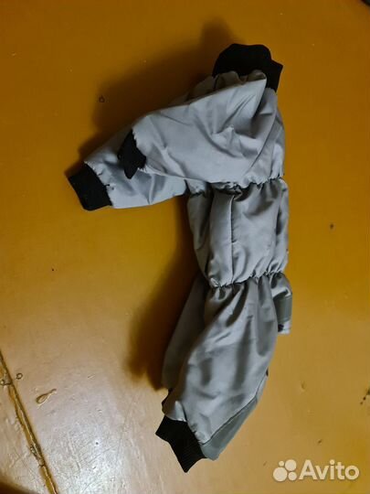 Одежда для собак мелких пород