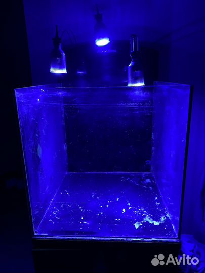 Морской аквариум Aqua Medic Blenny 80л