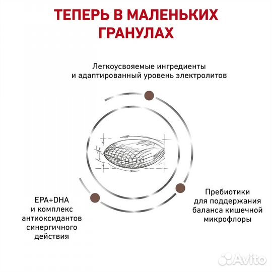 Royal Canin (вет.корма) для взрослых собак малых п