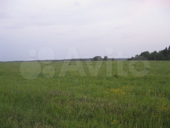 Участок 15 га (СНТ, ДНП)