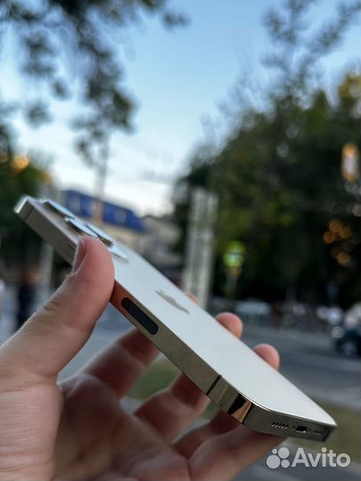 iPhone 13 Pro, 256 ГБ
