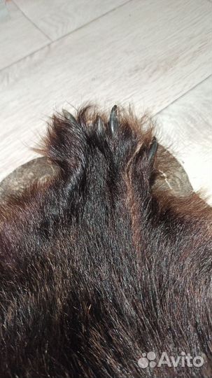 Шкура медведя имитация