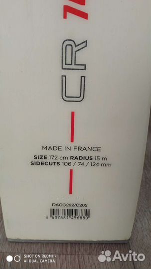 Горные лыжи