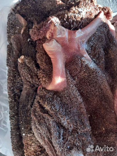 Корм для собак, рубец,ливер,обрезь