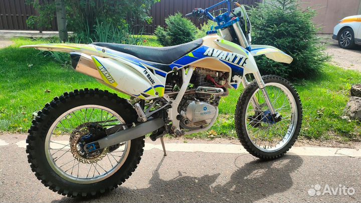 Avantis FX 250
