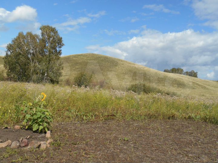 Участок 10,2 сот. (СНТ, ДНП)