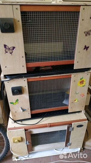 Брудер практичный для цыплят