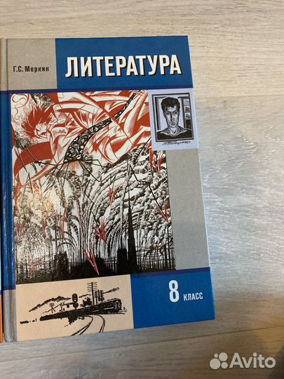 Учебник по литературе 8 класс меркин
