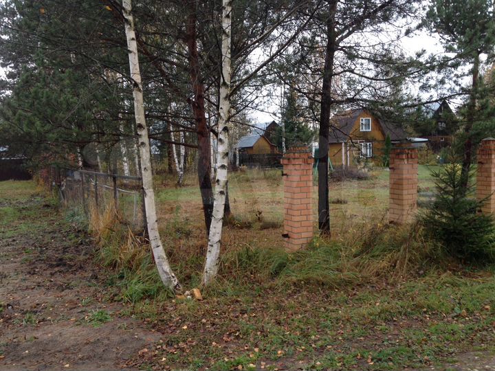 Участок 8,5 сот. (СНТ, ДНП)