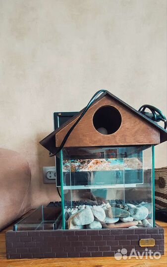 Аквариум c флорариумом