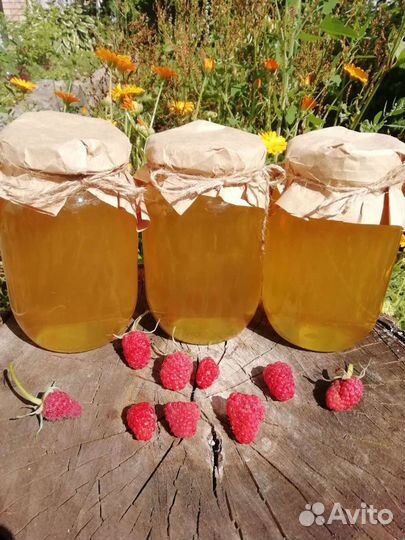 Липовый Мёд 2023