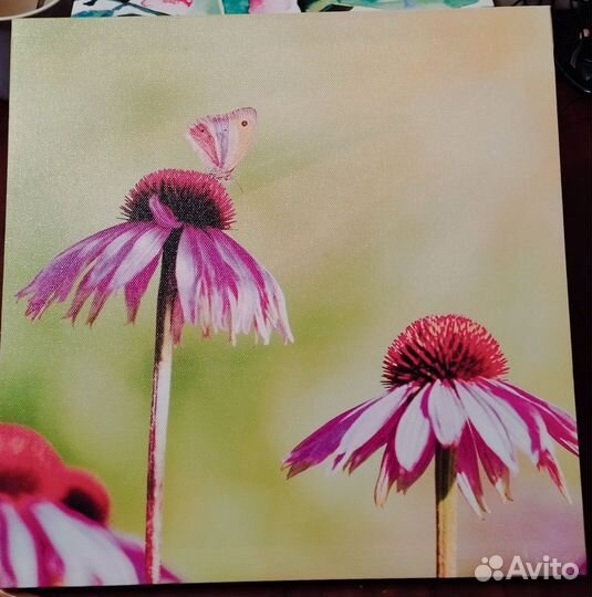 Картина, Постер, Портрет, ручной работы