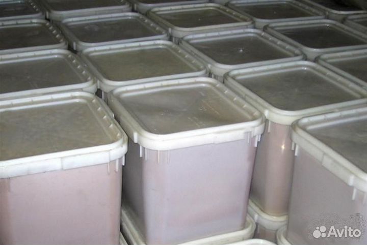 Продам мед оптом