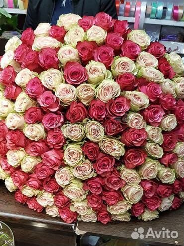 25 роз, 51 роза, 101 роза, доставка цветов