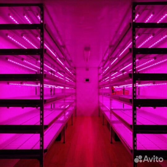 Ремонт изготовление и тест спектра Фито ламп