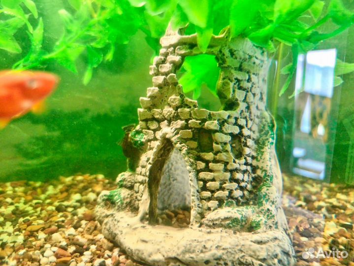 Аквариум с рыбками