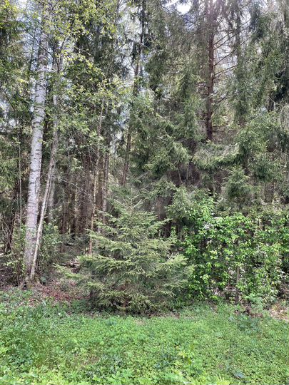 Дача 86 м² на участке 3 сот.