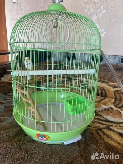 Клетка для попугая