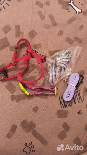 Одежда для щенков и собак