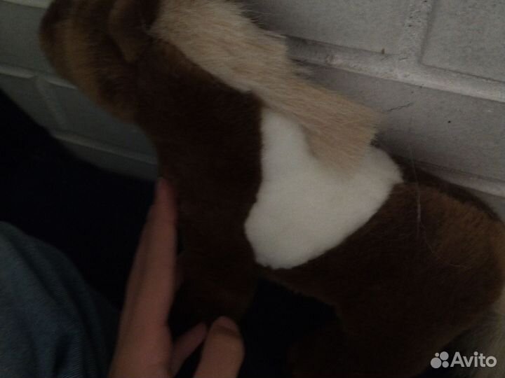 Шетландский пони