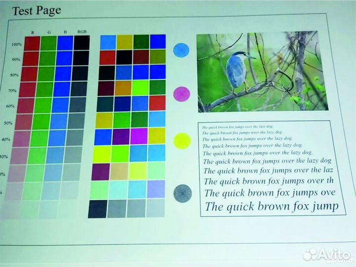 Мфу Konica (Develop) 220. Идеальное состояние