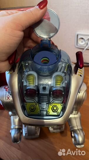 Интеллектуальный Робот zgmf 