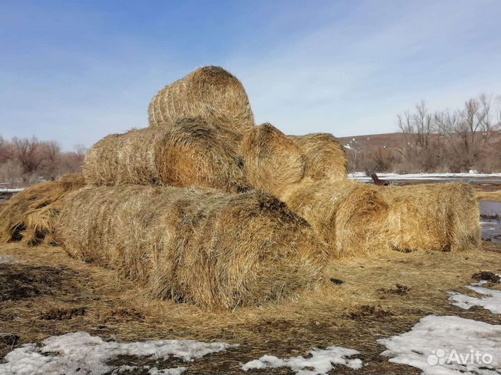 Солома в рулонах