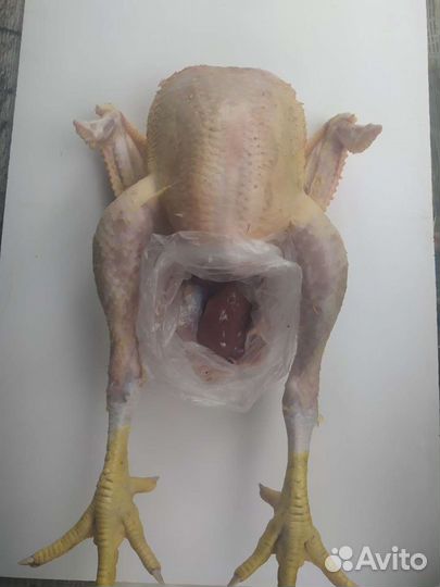 Мясо цыплят бройлер