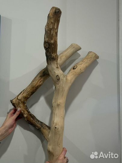 Коряги для аквариума, коряга