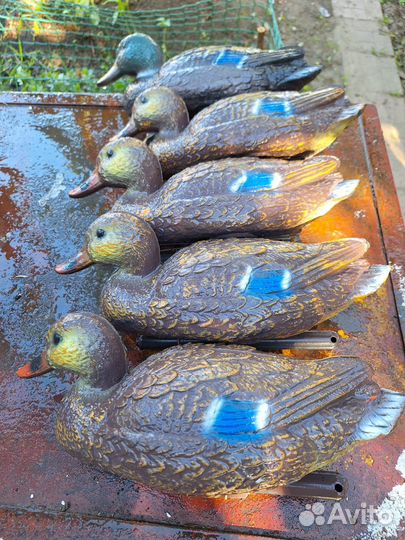 Чучела уток для охоты