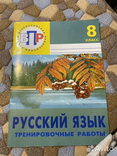 Впр 8 класс по русскому языку