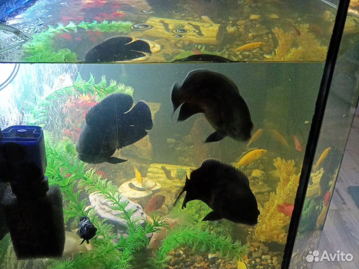 Украшение для аквариума