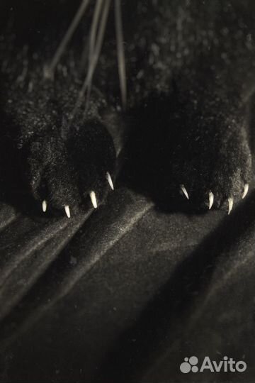 Игрушка Владислав Тыкающий