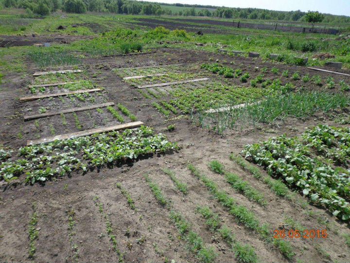 Дом 25,5 м² на участке 34 сот.