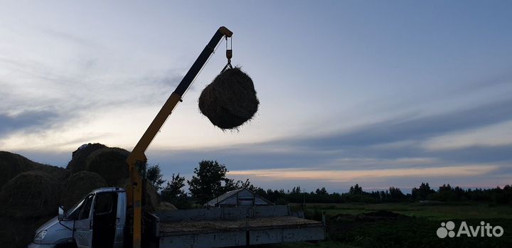 Услуги манипулятора