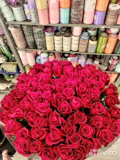 Розы высокие 150 160 170 180 190 200см