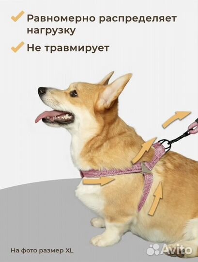 Шлейка для собак Новая