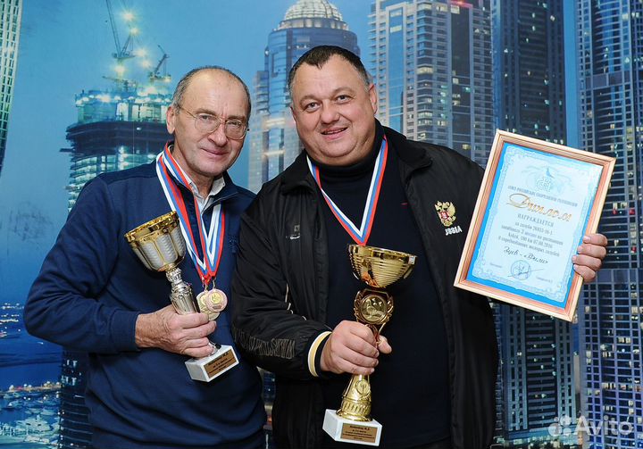 Птица, Спортивные голуби (Шиммеля)