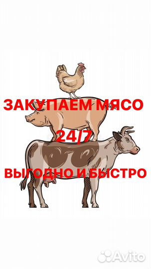 Закупаем мясо