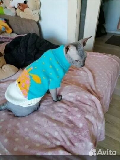 Свитерок для кошек или маленьких собак