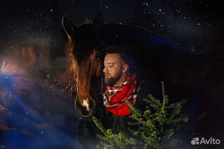 Конная фотосессия, фото с лошадьми