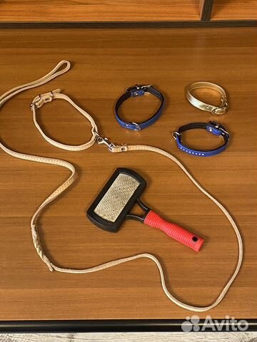 Ошейник для маленькой собаки