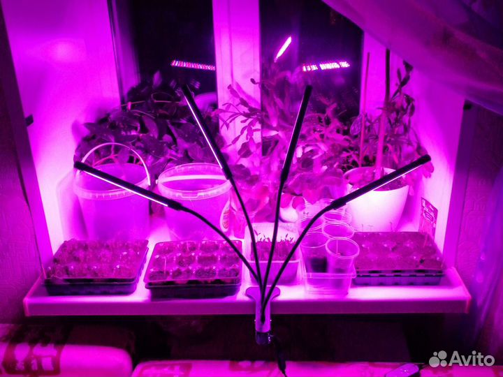 Фитолампа светодиодная