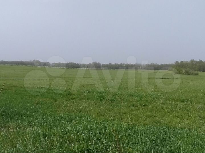 Участок 3,5 га (СНТ, ДНП)