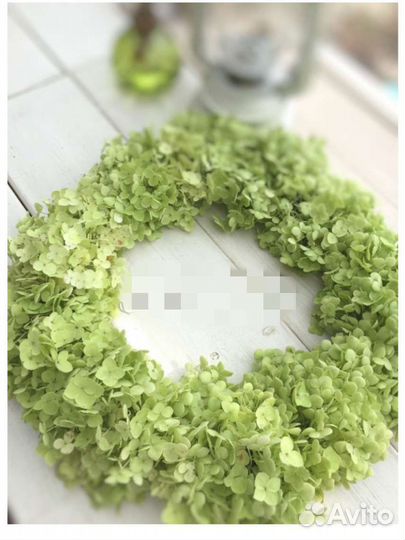 Гортензия стабилизированная