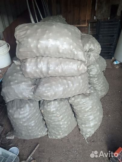 Картофель мелкий