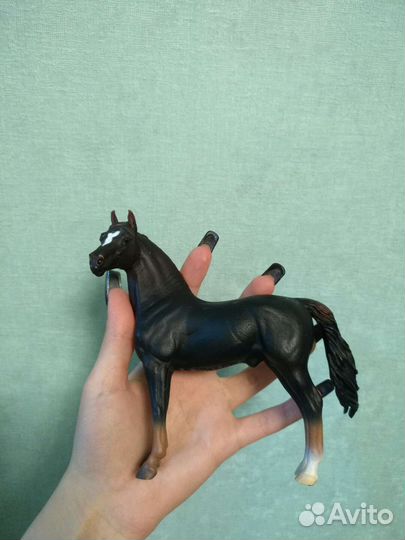 Лошадь коллекта. Collecta