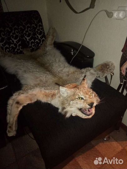 Ковёр. Цена за один