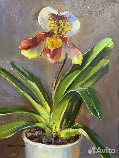 Орхидея картина
